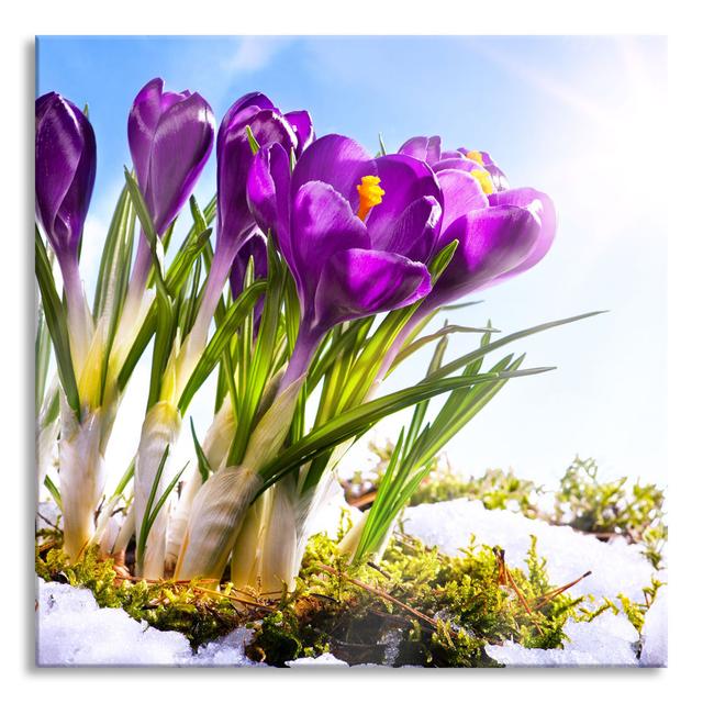 Spring Flower On Background - No Frame Print on Glass Brayden Studio Size: 80cm H x 80cm W x 0.4cm D on Productcaster.