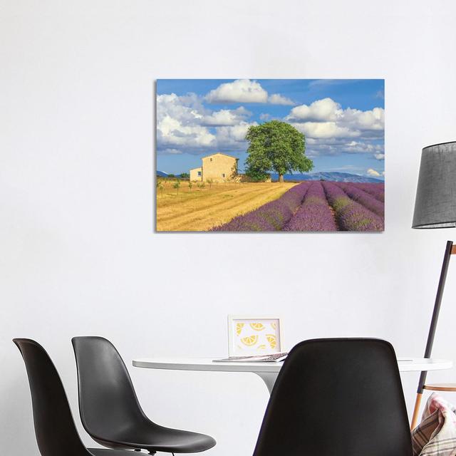 France, Provence, Valensole Plateau. Lavender Rows And Farmhouse. Fleur De Lis Living Size: 66.04cm H x 101.6cm W x 3.81cm D on Productcaster.