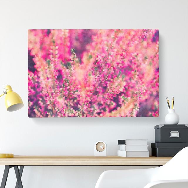 Pink Heather - Wrapped Canvas Print East Urban Home Size: 40cm H x 60cm W x 3cm D on Productcaster.