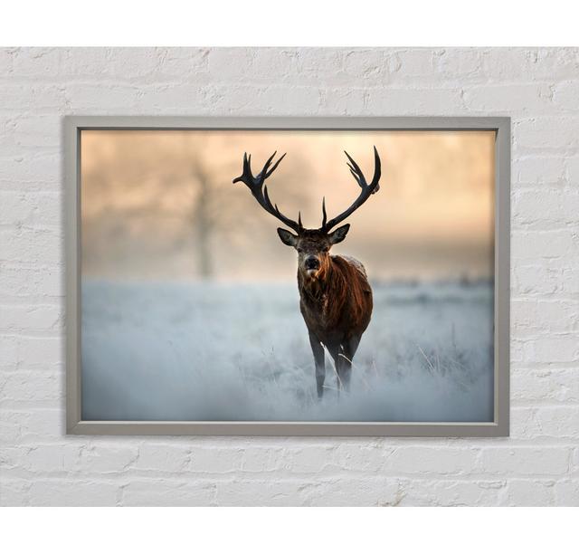 Beautiful Winter Stag Framed Print Union Rustic Size: 84.1cm H x 118.9cm W on Productcaster.