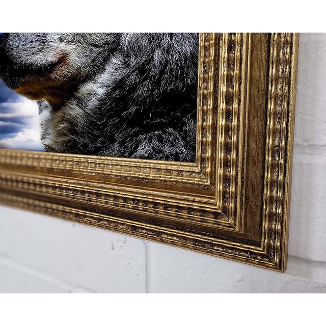 Wolf Skies - Single Picture Frame Art Prints Union Rustic Size: 29.7cm H x 42cm W x 3cm D on Productcaster.