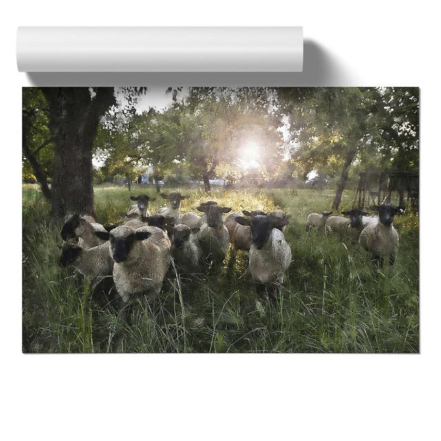 Flock of Sheep Vol.3 - Unframed Graphic Art East Urban Home Size: 30cm H x 42cm W x 0.1cm D on Productcaster.