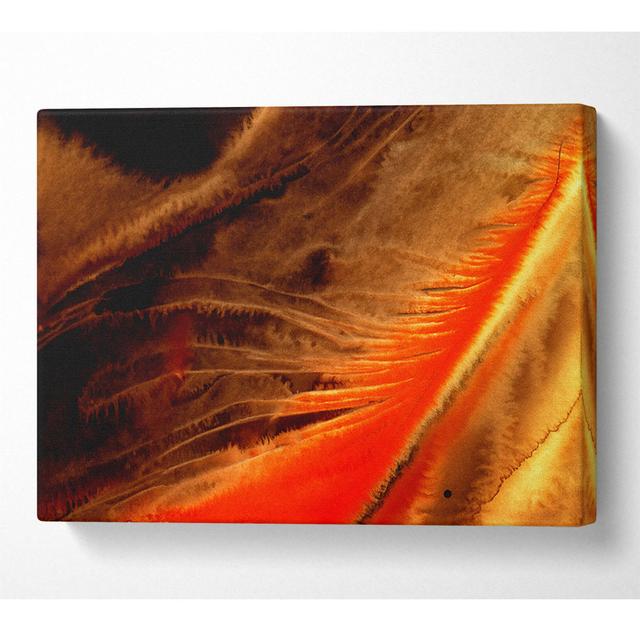 Orange Feather Macro - Print Latitude Vive Size: 35.6cm H x 50.8cm W x 10cm D on Productcaster.