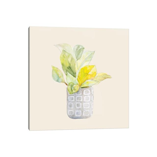 Decorative Potted Plant II by Lanie Loreth - Wrapped Canvas Painting ClassicLiving Size: 45.72cm H x 45.72cm W x 1.905cm D on Productcaster.