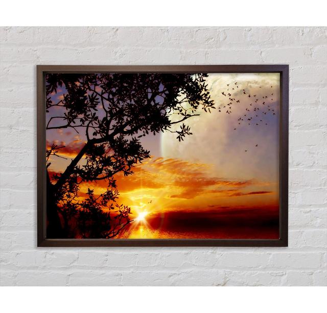 Suns First Light Framed Print Bright Star Size: 84.1cm H x 118.9cm W on Productcaster.