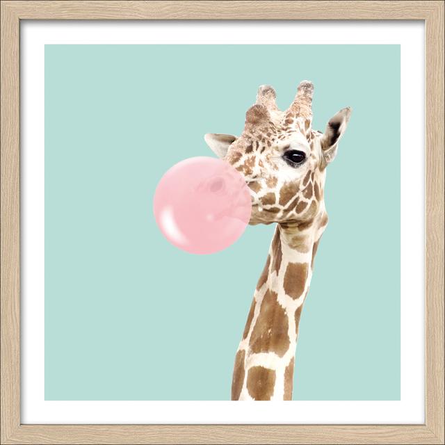 Giraffe Chewing Gum Pro-Art on Productcaster.