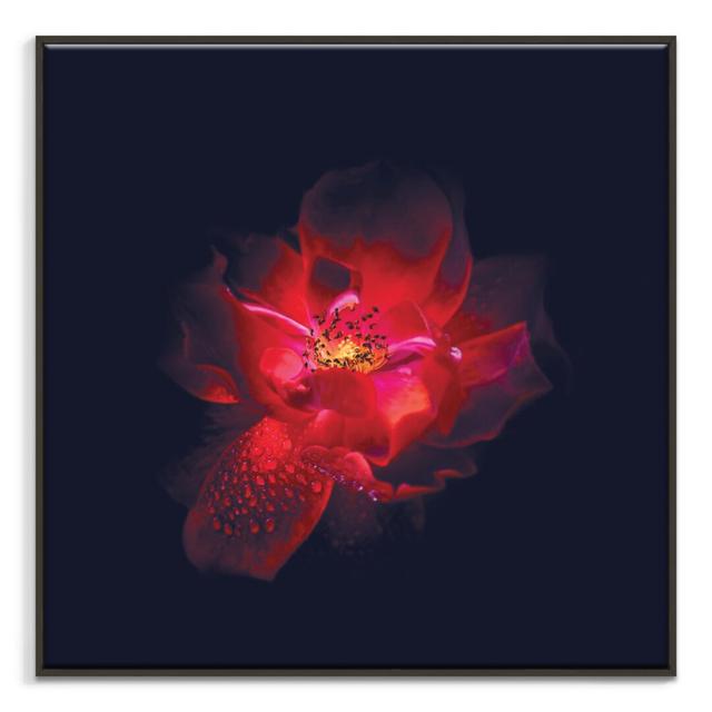 Print on Canvas East Urban Home Format: Wrapped Canvas, Size: 76cm H x 76cm W on Productcaster.