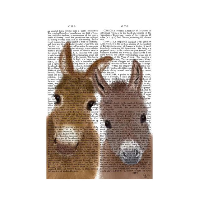 Donkey Duo, Looking at You Book by Fab Funky - Wrapped Canvas Painting ClassicLiving Size: 66.04cm H x 45.72cm W x 1.9cm D on Productcaster.