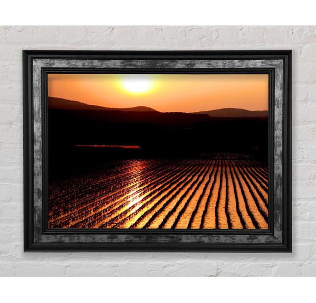 Sunset Over The Wheatfield - Single Picture Frame Art Prints Bright Star Size: 42cm H x 59.7cm W x 8cm D on Productcaster.