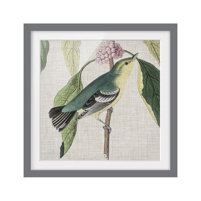 Bird on Linen Pink I - Picture Frame Painting Rosalind Wheeler Frame Option: Grey Framed, Size: 30cm H x 30cm W x 2cm D on Productcaster.