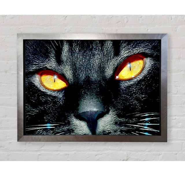 Cats Eyes - Print Bright Star Size: 84.1cm H x 118.9cm W x 3.4cm D on Productcaster.