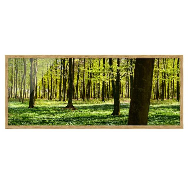 Forest Meadow Format - Picture Frame Graphic Art Union Rustic Size: 50cm H x 130cm W x 2cm D, Frame Option: Brown Framed on Productcaster.