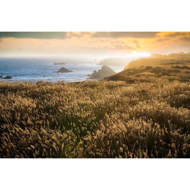 Coastal California by Bill Oxford - Print Alpen Home Size: 51cm H x 76cm W on Productcaster.