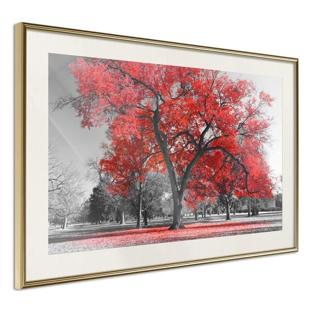 Gerahmtes Poster Red Tree Rosalind Wheeler Größe: 40 cm x 60 cm, Rahmenart: Goldener Rahmen on Productcaster.