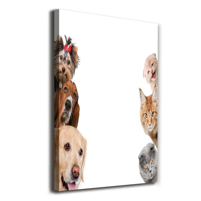 Dogs and Cats - Wrapped Canvas Art Prints Ebern Designs on Productcaster.