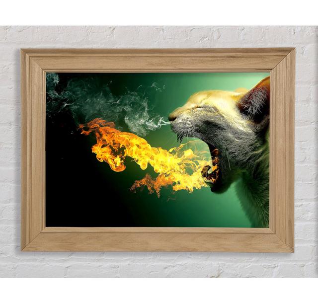 Single Picture Frame Art Prints Bright Star Size: 84.1cm H x 142.2cm W on Productcaster.