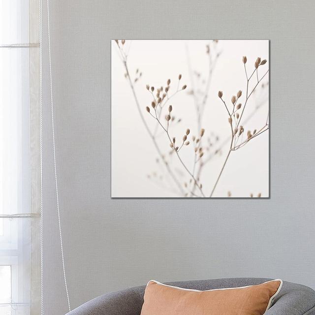 Wildflower Natural Beige I Square by Monika Strigel - Wrapped Canvas Photograph ClassicLiving Size: 66.04cm H x 66.04cm Wx 3.81cm D on Productcaster.