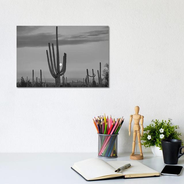 Saguaro Cacti And Moon, Saguaro National Park, Arizona - Wrapped Canvas Print Natur Pur Size: 20.32cm H x 30.48cm W x 1.91cm D on Productcaster.