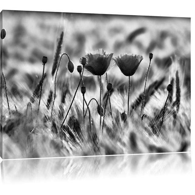 Leinwandbild Zwei schöne Mohnblumen in Monochrom East Urban Home Größe: 80 cm H x 120 cm B on Productcaster.