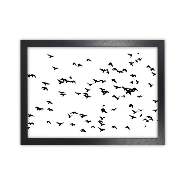 Flock Of Birds Landscape by Pixy Paper - Print Rosalind Wheeler Format: Black Framed, Size: 42cm H x 59.4cm W x 3cm D on Productcaster.