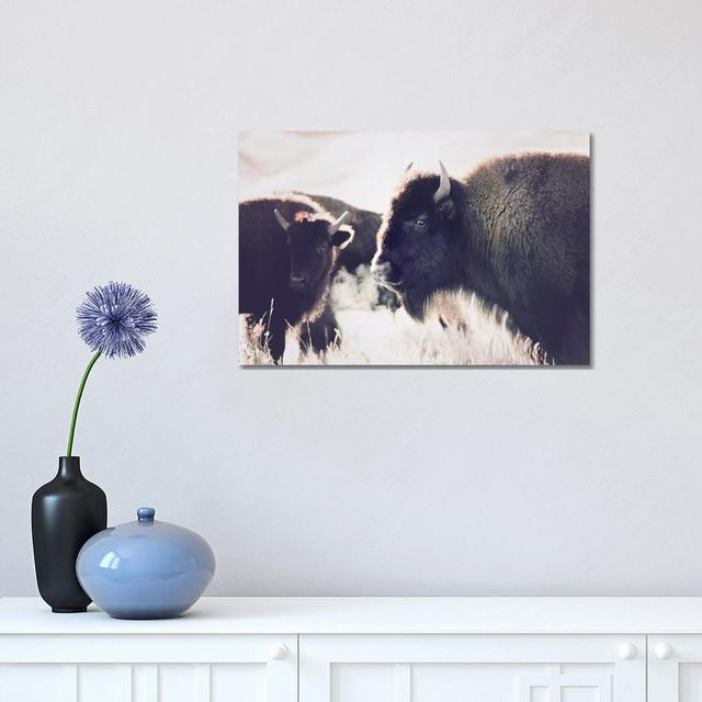 Buffalo by Sisi & Seb - Wrapped Canvas Print August Grove Size: 30.48cm H x 45.72cm W x 1.91cm D on Productcaster.