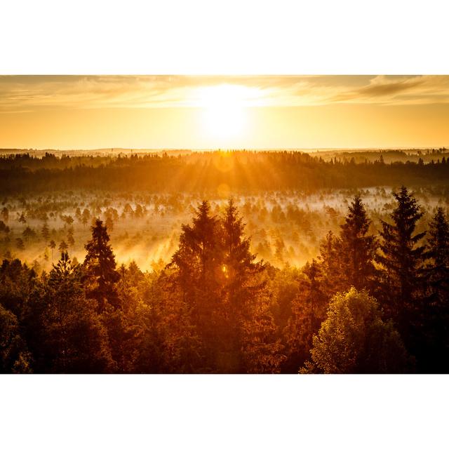 Sunrise at Swamp by Ttretjak - Wrapped Canvas Photograph Union Rustic Size: 30cm H x 46cm W x 3.8cm D on Productcaster.