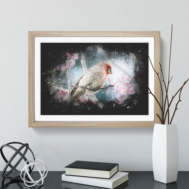 A House Finch Bird Paint Splash - Picture Frame Graphic Art East Urban Home Frame Option: Oak, Size: 27cm H x 36cm W x 2cm D on Productcaster.