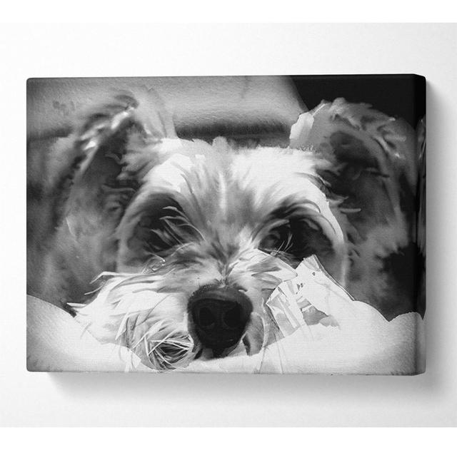 Dog B N W - Wrapped Canvas Art Prints ClassicLiving Size: 66cm H x 106.6cm W x 10cm D on Productcaster.