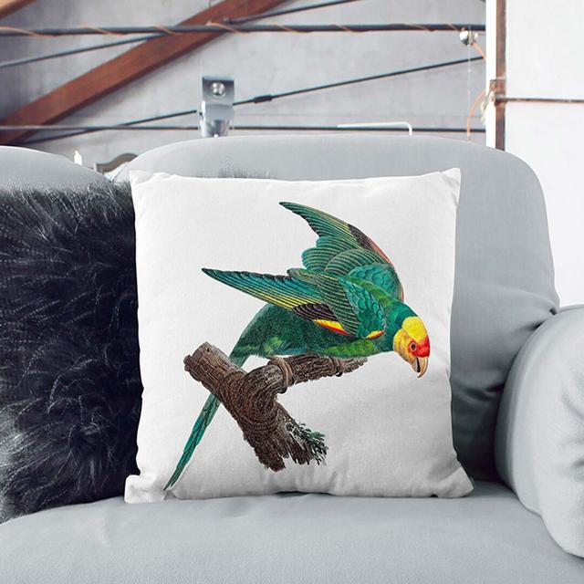 Crowned Parakeet by F. Levaillant Cushion with Filling East Urban Home Size: 40 x 40 cm on Productcaster.