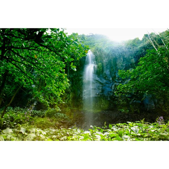 Friedlicher Wasserfall von AfricaImages - Drucken Marlow Home Co. Größe: 20 cm H x 30 cm B on Productcaster.