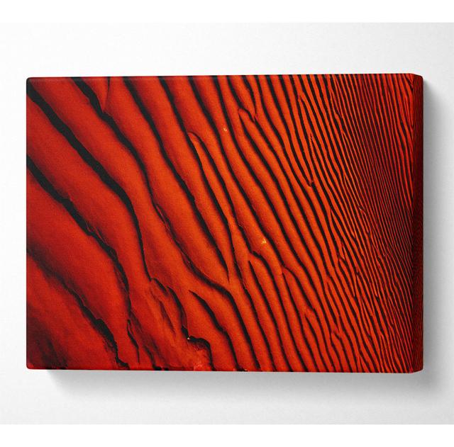 Burnt Orange Desert Sands - Wrapped Canvas Art Prints Metro Lane Size: 81cm H x 121.9cm W x 10cm D on Productcaster.