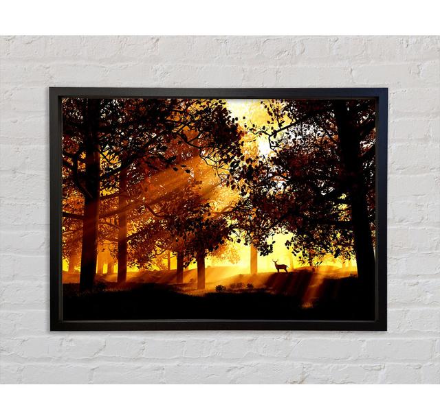 Sunrays Through The Deer Forest Framed Print Bright Star Size: 84.1cm H x 118.9cm W on Productcaster.