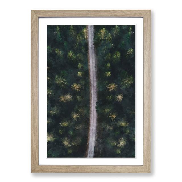 The Forest Road in Sweden - Picture Frame Graphic Art East Urban Home Frame Option: Oak, Size: 65cm H x 48cm W x 2cm D on Productcaster.