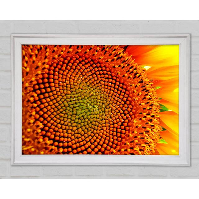 Stunning Sunflower Close-Up - Single Picture Frame Print on Canvas Brayden Studio Size: 29.7cm H x 42cm W x 1.5cm D, Format: White Framed Paper on Productcaster.