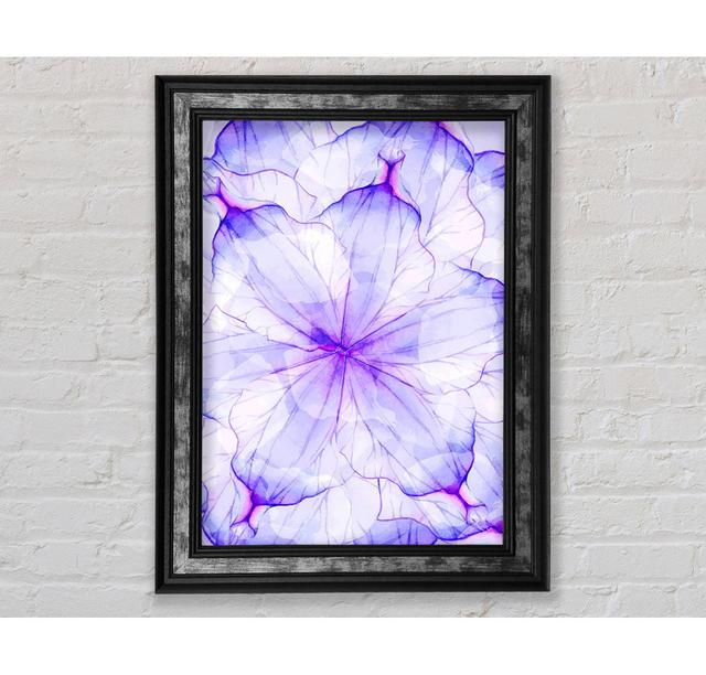 Single Picture Frame Art Prints Bright Star Size: 29.7cm H x 42cm W on Productcaster.