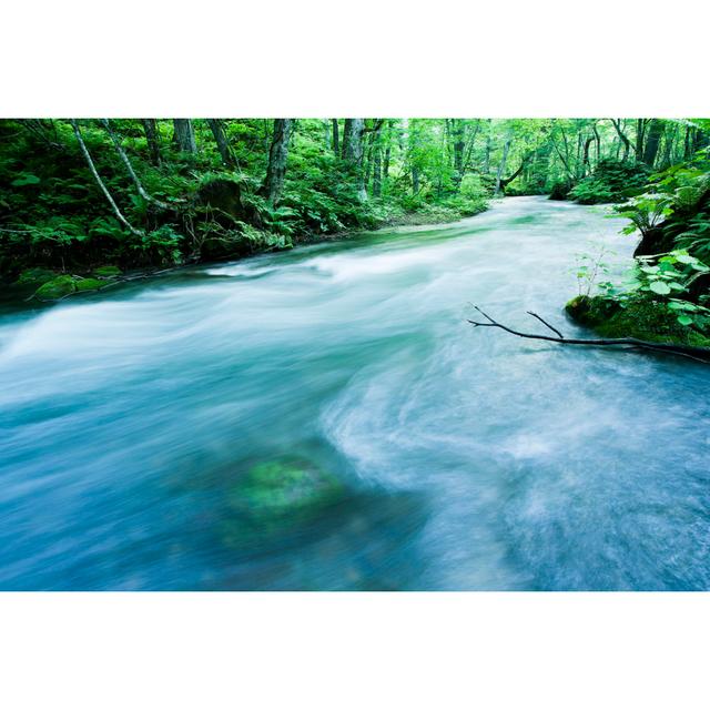 Woodland Stream by Ooyoo - Print Alpen Home Size: 60cm H x 90cm W on Productcaster.