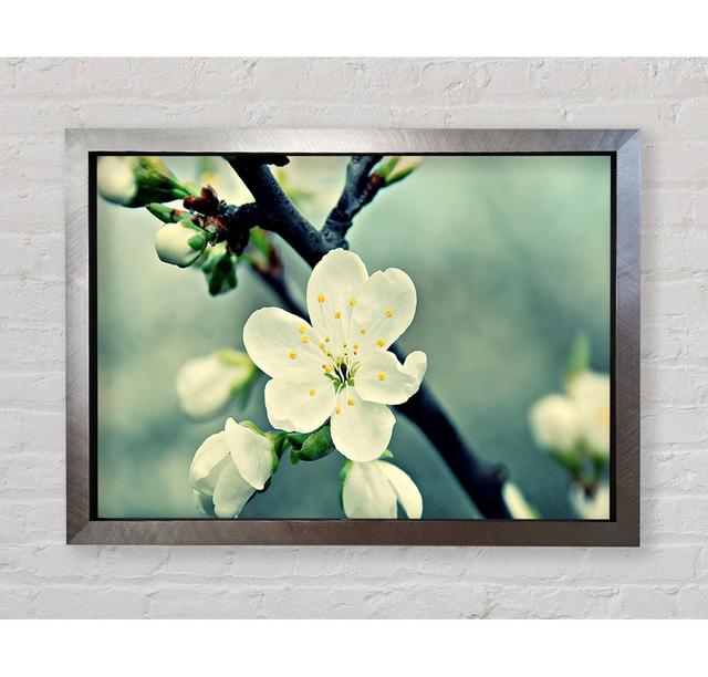 Gerahmtes Leinwandbild Beautiful Apple Blossom Ebern Designs Größe: 84,1 cm H x 118,9 cm B x 3,4 cm T, Format: Poster mit schwarzem Rahmen on Productcaster.