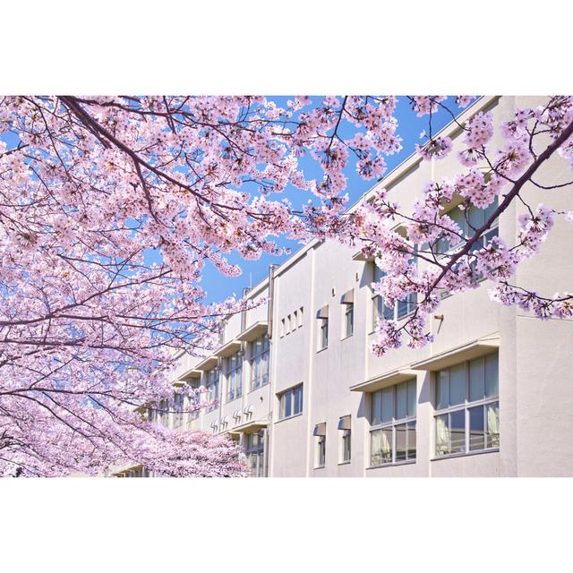 Spring in Japan by 7Maru - Wrapped Canvas Photograph 17 Stories Size: 30cm H x 46cm W on Productcaster.