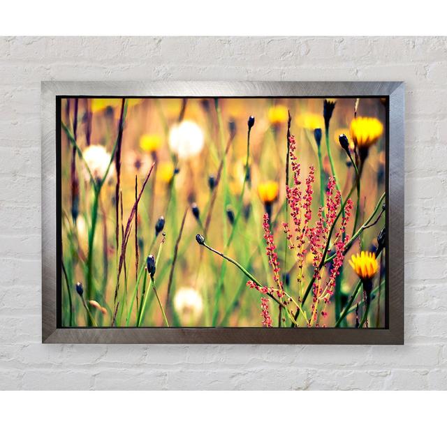 Flowers And Weeds - Print August Grove Format: Black Framed Paper, Size: 84.1cm H x 118.9cm W x 3.4cm D on Productcaster.