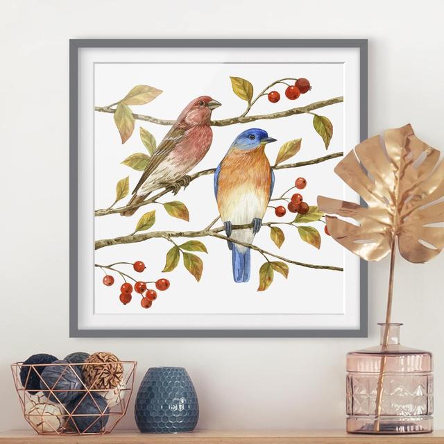 Birds and Berries - Bluebird - Picture Frame Painting Rosalind Wheeler Size: 30cm H x 30cm W x 2cm D, Frame Option: Grey Framed on Productcaster.