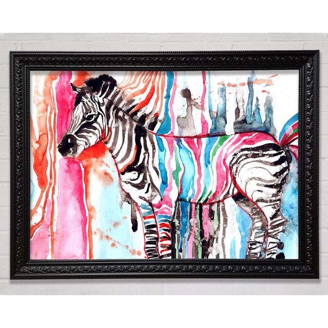 Funky Zebra - Print Bright Star Size: 42cm H x 59.7cm W on Productcaster.