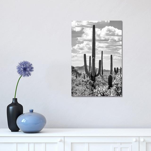 Giant Saguano Cactus by Unknown - Wrapped Canvas Photograph on Canvas Natur Pur Size: 45.72cm H x 30.48cm W x 1.91cm D on Productcaster.