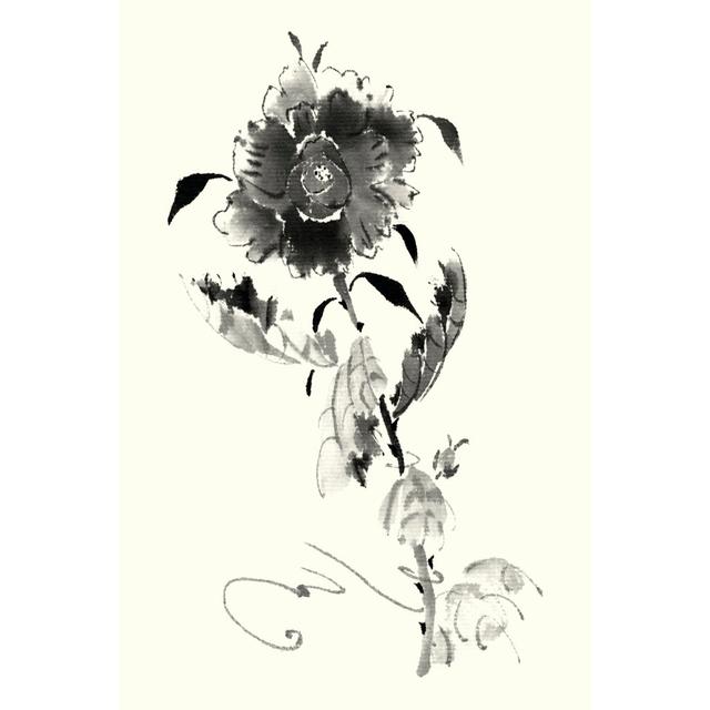 Studies in Ink - Rose I by Nan Rae - Wrapped Canvas Art Prints Rosalind Wheeler Size: 76cm H x 51cm W x 3.8cm D on Productcaster.