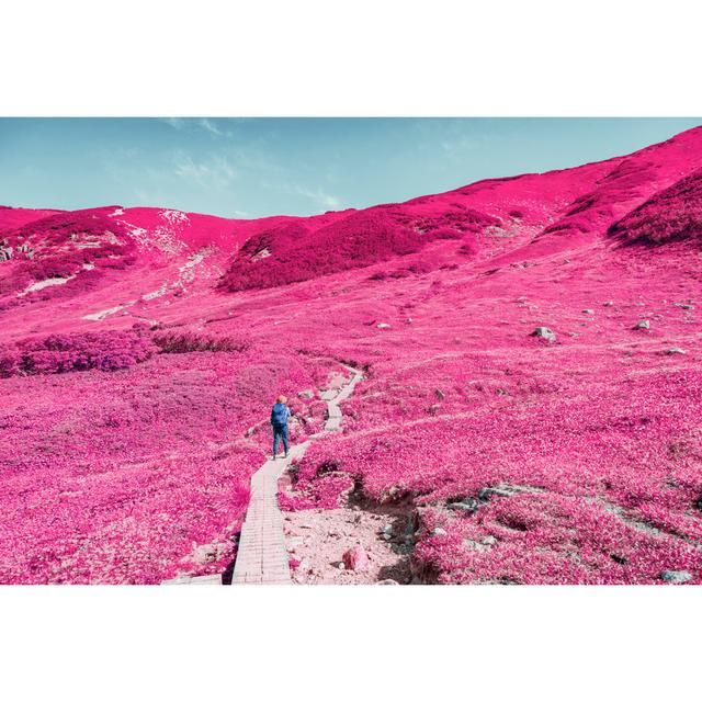 Woman Hiking by Yagi-Studio - Print 17 Stories Size: 30cm H x 46cm W x 3.8cm D on Productcaster.