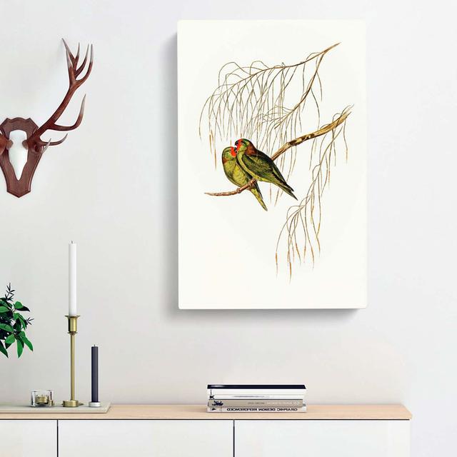 Little Lorikeets by Elizabeth Gould - Wrapped Canvas Art Print East Urban Home Size: 50cm H x 35cm W x 3cm D on Productcaster.