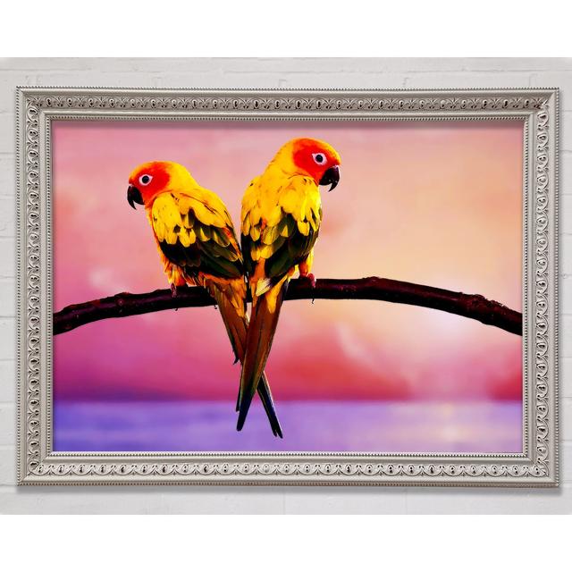 Twin Parrots Framed Print Bright Star Size: 29.7cm H x 42cm W x 3cm D on Productcaster.