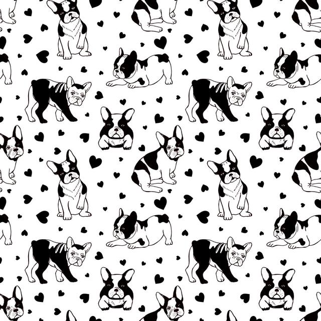 Willards Black and White Dogs Isolated on White Background - Wrapped Canvas Graphic Art ClassicLiving Size: 122cm H x 122cm W x 3.8cm D on Productcaster.