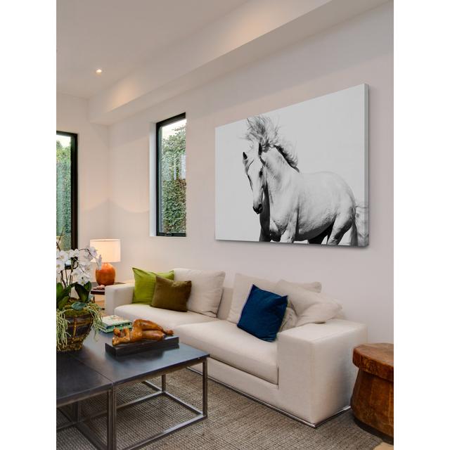 'Horse Running' - Unframed Photograph Print on Paper Alpen Home Size: 76cm H x 114cm W on Productcaster.