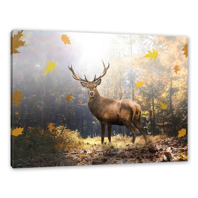 Fotodruck Rehe im Wald mit fallenden Blättern Alpen Home Maße: 40 cm H x 60 cm B x 1,8 cm T on Productcaster.