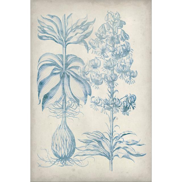 Blue Fresco Floral II by Vision Studio - Wrapped Canvas Print August Grove Size: 91cm H x 61cm W on Productcaster.